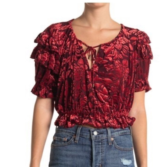 Free People
Velveteen Dreams Velvet Crop Top - Picture 1 of 3